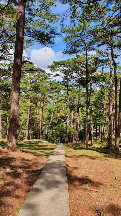 Camp John Hay Baguio, Camp John Hay, Baguio, Philippines, Country Roads, Camping, Road