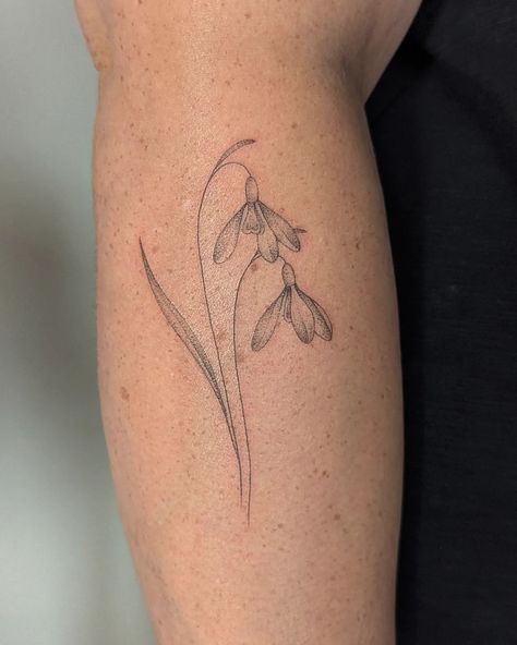 Snowdrop Flower Tattoo, Snow Drops Flowers, Winter Tattoo, Couple Tat, My Diary, Leg Sleeves, Thank You For Coming, Forearm Tattoos, Tattoo Stencils