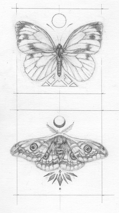 Moth And Butterfly Art, Moth Tattoo No Shading, Detailed Moth Drawing, Step By Step Moth Drawing, Butterfly And Moth Drawing, Moth Tattoo Lower Back, Moth And Butterfly Tattoo Design, Moth Vs Butterfly Tattoo, Moth Drawing Sketch