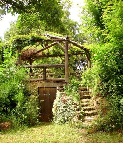 Root Cellars, Hippie Garden, Forest Cottage, Root Cellar, Permaculture Gardening, Permaculture Design, Food Forest, Wild Edibles, Have Inspiration