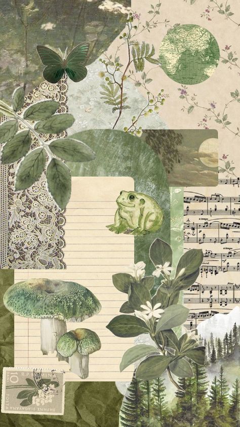 Sage Green Stickers, Dark Cottagecore Wallpaper, Sage Collage Wallpaper, Collage Wallpaper Sage Green, Sage Collage Aesthetic, Cottage Core Wallpaper Collage, Green Folder, Simple Poster Design, Fairycore Collage Wallpaper