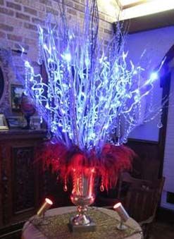 Fire & Ice: 2000 dyed, wired and backlit emu feathers make a soft transition for the the Front Gate urn. 60" LED branches illuminate 100 chandelier jewelry and 9 yards of crystal garland purchased from Accent Decor. Emu feathers were collected from my emus naturally. Breakfast Theme Ideas, Fire And Ice Prom Theme, Ice Prom Theme, Prom Breakfast, Fire And Ice Prom, Fire Ice Party, Fire And Ice Theme, Fire And Ice Party, Breakfast Theme