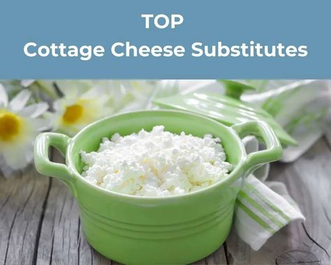 Best 8 Cottage Cheese Substitutes - Chef's Pencil Cottage Cheese Diet, Cheese Alternatives, Cooking Substitutions, Egg Protein, White Cheese, Fresh Cheese, Skim Milk, Kids Diet, A Cow