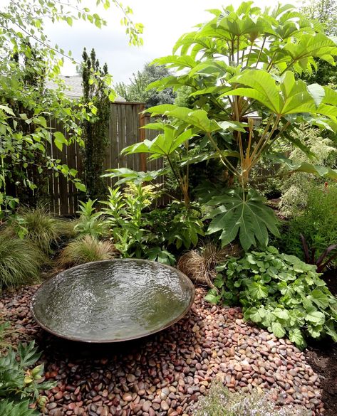 Japanese Gardens Design Ideas, Small Water Gardens, Small Japanese Garden, Garden Water Fountains, Garden Water Feature, Japanese Garden Design, Have Inspiration, Water Features In The Garden, Garden Fountain