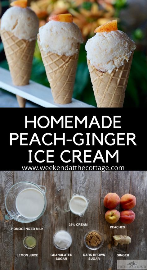 Easy Homemade Food, Coconut Cream Recipes, Ginger Ice Cream, Vegan Ice Cream Recipe, Cinnamon Ice Cream, Ninja Creami Recipes, Creami Recipes, Peach Ice Cream, Ice Cream Sundaes