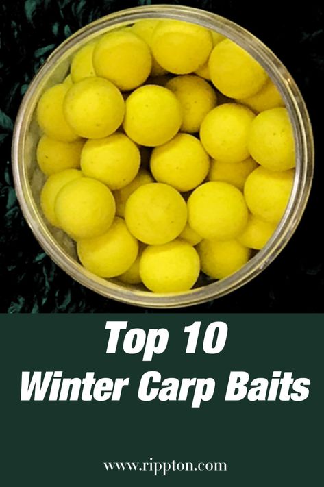 Check out the Top 10 Winter Carp Baits at www.rippton.com#Fishing#Fishingforlife#Fishingdaily#Rippton Best Carp Bait, Carp Fishing Bait, Fish Bait, Conserve Energy, Last Resort, Pike Fishing, Freshwater Fishing, Pop Ups, Carp Fishing