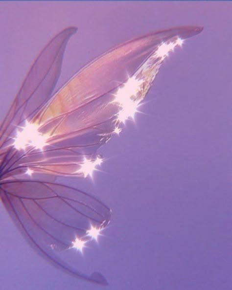 Pink Fairy Wings Aesthetic, Rainbow Fairy Aesthetic, Fairy Grotto, Light Purple Wallpaper, Purple Aesthetic Background, Purple Quotes, Violet Aesthetic, Biker Tattoos, Violet Pastel