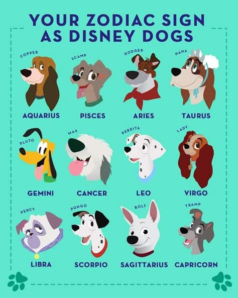 Which Disney dog are you? Angel Meaning, Zodiac Twins, Disney Zodiac, Number Angel, Dog Zodiac, Zodiac Signs Animals, Zodiac Signs Pictures, Cartoon Dogs, Zodiac Sign Fashion