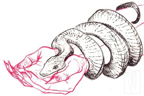 Myriam Tillson, Snake Drawing, Snake Art, Tattoo Art Drawings, Arte Sketchbook, Arte Inspo, Sketchbook Art Inspiration, Cool Art Drawings, Art Inspiration Drawing