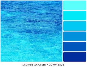 Aqua Color Palette, Ocean Color Palette, Color Palette From Image, Bio Pool, Nude Color Palette, Turquoise Color Palette, Hex Color Palette, Brown Color Palette, Sea Colour