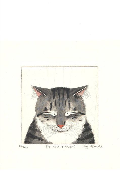 The cat's whiskers by Kay McDonagh Kay Mcdonagh, Cat Mcdonald, Cat Yawning Illustration, Cat Engraving Illustration, Antique Cat Illustration, Cat Whiskers, All About Cats, Cats Illustration, Cat Face