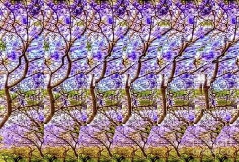 What do you see in this illusion art? Hidden 3d Images, Magic Eye Pictures, Eye Illusions, Happy Friday Eve, Illusion Pictures, Eye Images, Friday Eve, Eye Pictures, 3d Pictures