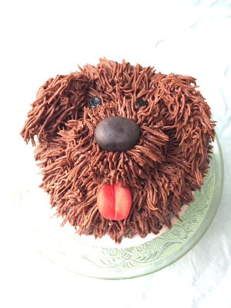 Shaggy Dog Cake, Dog Cake Design Ideas, Shaggy Cake, Dog Bday Cake, Cake Course, Poppy Birthday, Cake Dog, Chocolate Dog, Dog Themed Birthday Party