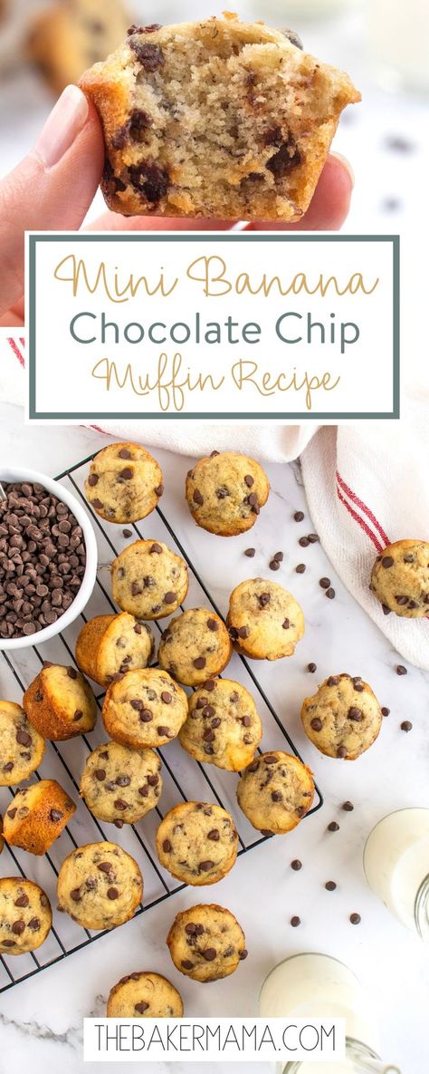 Moist, chocolatey, easy-to-make Mini Banana Chocolate Chip Muffins are bite-sized perfection. With pantry staples and some overripe bananas, you can have these delicious muffins in a matter of minutes! Perfect for a quick breakfast or a yummy after school snack, these Mini Banana Chocolate Chip Muffins are bite-sized bliss! The muffins are soft and moist, chocolatey and just the right amount of sweet. Banana Choc Chip Mini Muffins, Mini Muffin Banana Bread, Banana Ideas Easy, Mini Chocolate Chip Muffins Little Bites, Banana Bread Mini Muffins Recipe, Mini Banana Chocolate Chip Muffins Healthy, 2 Banana Chocolate Chip Muffins, Mini Choc Chip Muffins, Banana Muffins With Two Bananas