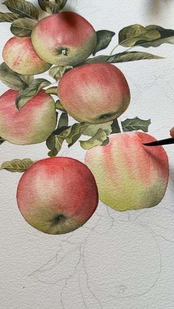 Watercolor Paintings Nature, Flowers Tutorial, Watercolor Flower Art, Watercolor Painting Techniques, Painting Art Lesson, Fruit Painting, Cat Air, 수채화 그림, Watercolor Paintings Tutorials