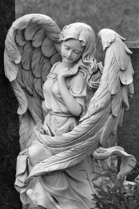 Angel Statues Sculpture, Cemetery Angels, Cemetery Statues, I Believe In Angels, Angel Statue, Angel Sculpture, Cemetery Art, Ange Demon, Angels Among Us