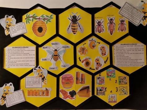 Science Project Board, Paper Roll Crafts Diy, Bee Activities, Insect Crafts, Lap Book, Topiary Garden, Classroom Art Projects, Science Projects For Kids, Daycare Activities