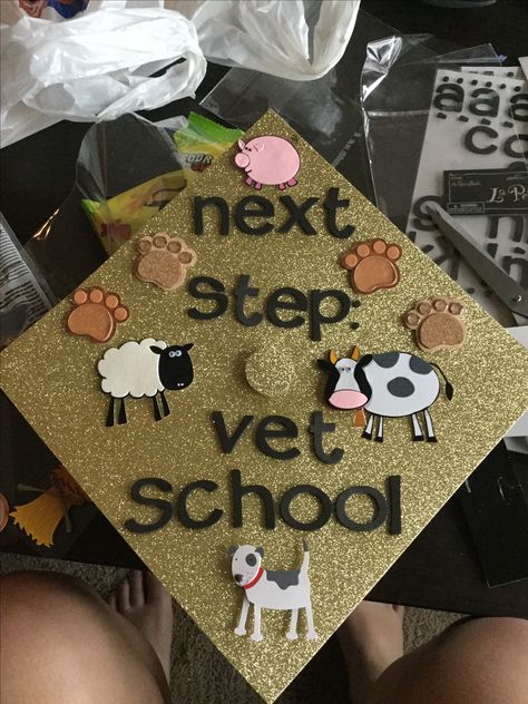 Vet School Graduation Cap, Graduation Cap Designs Veterinarian, Veterinarian Graduation Cap, Ffa Graduation Cap, Vet Graduation Cap, Western Graduation Cap, Vet Decor, Decorate Graduation Cap, Vet Cake