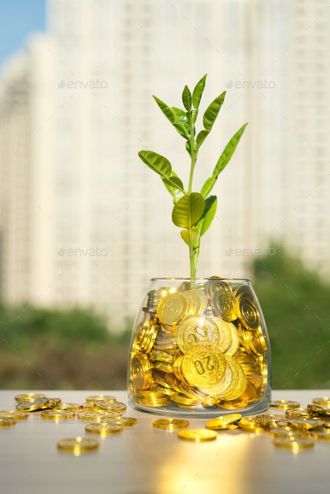 Gold COINS by liufuyu. Plants planted in gold glass jar#liufuyu, #Plants, #Gold, #COINS Gold Coin Wallpaper, Free Cash App Money, Money Wallpaper Iphone, Lucky Wallpaper, Health And Fitness Apps, Gold Money, Beautiful Wallpaper For Phone, Free Cash, God Pictures