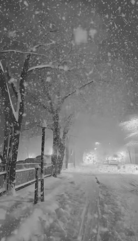 Snowfall Gif, Snowfall Aesthetic, Winter Scenes Wonderland, Beautiful Winter Pictures, Snow Gif, Beautiful Winter Scenes, Snowy Night, Christmas Scenery, Winter Images