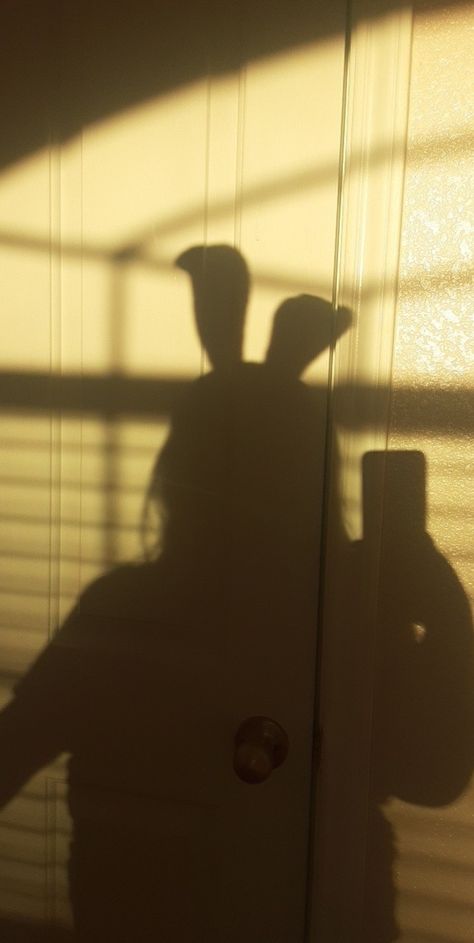 I got the confidence to do those shadow picture thing with bunny ears!!! Bunny Ears Aesthetic, Ears Aesthetic, Shadow Picture, Ear Picture, Shadow Pictures, Bunny Ears, Bunny Ear, Human Silhouette, Confidence