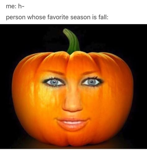 Floptok Humor, Pumpkin Meme, Rpdr Funny, Around The Fur, Disgusted Face, Pin Up Outfits, Snapchat Funny, Silly Faces, Roblox Funny