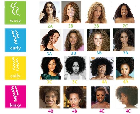 Curl Type Chart Curl Chart, Perm Ideas, Haircut Tutorials, Hair Type Chart, Hair Chart, 3a Hair, Different Types Of Curls, Permed Hair, Character Making