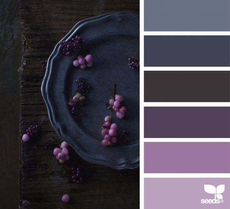 Color Serving | design seeds | Bloglovin’ Bedroom Dark Purple, Bedroom Dark, Seeds Color, Color Concept, Sea Serpent, Rustic Colors, Design Seeds, Color Harmony, Color Balance