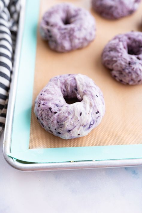 Risen blueberry bagels on a tray before being baked. Easy Blueberry Bagel Recipe, Bagel Recipe Blueberry, Keto Blueberry Bagels, Blueberry Bagels Recipe Homemade, Homemade Blueberry Bagels, Sweet Bagel Recipe, Blueberry Bagel Recipe, Types Of Bagels, Blueberry Bagels