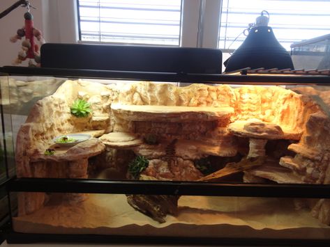 Uromastyx viv background build PIC HEAVY | Reptile Forums Uromastyx Lizard, Diy Bearded Dragon Enclosure, Bearded Dragon Vivarium, Lizard Habitat, Diy Reptile, Bearded Dragon Diy, Gecko Habitat, Bearded Dragon Terrarium, Bearded Dragon Enclosure