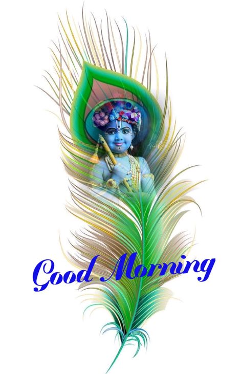 Good Morning Krishna Images, Good Morning Dp, Thursday Good Morning Images, Friday Good Morning Images, Thursday Good Morning, Friday Good Morning, New Good Morning Images, Images For Instagram, Good Morning Rose Images