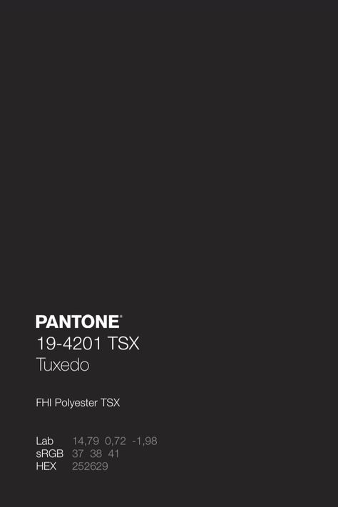 Pantone Dark Gray, Pantone Charcoal Grey, Gray Pantone Colour Palettes, Dark Pantone Colors, Grey Pantone Palette, Dark Grey Palette, Dark Grey Pantone, Pantone Noir, Dark Neutral Color Palette