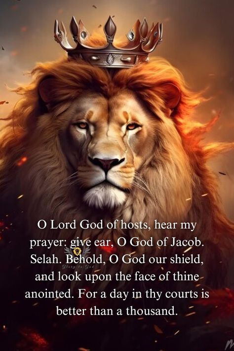 Hail Hail Lion Of Judah, Lion Of Judah With Crown, The Lion Of The Tribe Of Judah, Lion Of Judah Prophetic Art, Lion Of Judah Jesus King Of Kings, The Lion Of Judah, Lion Of Judah Jesus, Revelations 5:5 Lion Of Judah, Trusting God