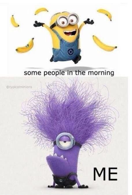 I'm so not a morning person Evil Minion, Minion Humour, Purple Minions, Jokes For Teens, Funny Minion Memes, Minion Pictures, Minion Jokes, Minions Love, Evil Minions