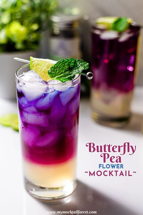 Are you a tea lover looking for a fun and unique mocktail? Try this butterfly pea flower tea mocktail! This pretty blue tea turns purplish pink when mixed with lime juice, fresh mint leaves, and Lyres White Cane Spirit. It's a delicious combination of sweet and tart, and sure to impress your guests. Tea Cup Cocktails, Alcoholic Tea Drinks, Butterfly Tea Recipe, Flower Drinks Ideas, Pea Flower Mocktails, Cocktails With Tea, Tea Based Cocktails, Tea Mocktail Drink Recipes, Butterfly Pea Mocktail Recipe