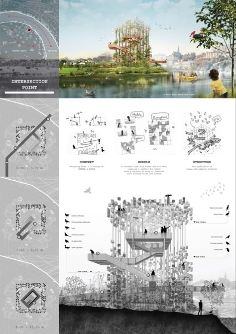 /architecture competition design winner scheme Bird Park Architecture, Bird Park Design, Bird Habitat Landscape Design, Bird Watching Pavilion, Bird Watching Architecture, Bird Sanctuary Architecture, Birds Architecture, Bird Architecture, Bird Watching Tower