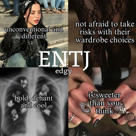 Entj Personality Women, Entj Women Aesthetic, Entj Vibes, Entj Female, Entj Core, 16 Personalities Intj, Entj Aesthetic, 16 Personalities Enfp, Entj Humor