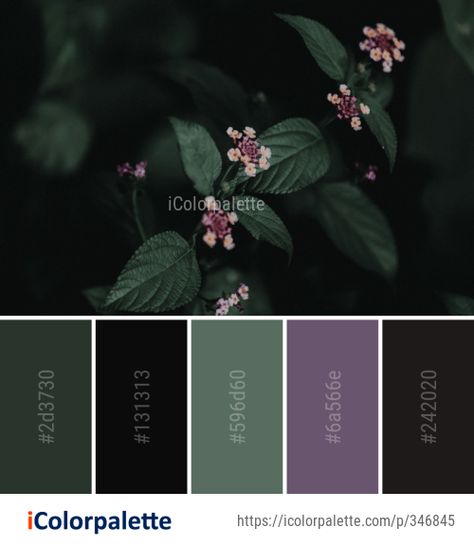 Goth Green Color Palette, Forest Green And Black Color Palette, Fairy Grunge Colour Palette, Dark Cottagecore Palette, Dark Fairy Color Palette, Green Witch Color Palette, Dark Colors Bedroom, Purple Green Black Color Palette, Apothecary Color Palette