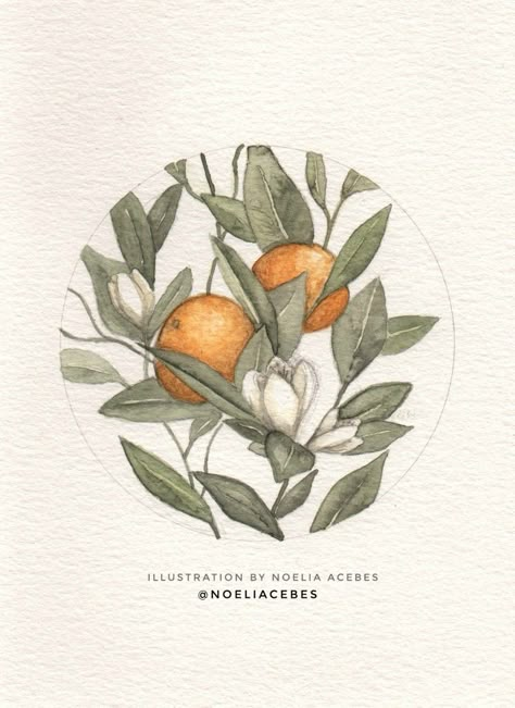 Botanical Watercolor Illustration, Watercolor Botanical Art, Botanical Art Watercolors, Painting Process Step By Step, Orange Tree Art, Oranges Illustration, Watercolor Botanical Flowers, Oranges Watercolor, Orange Drawing