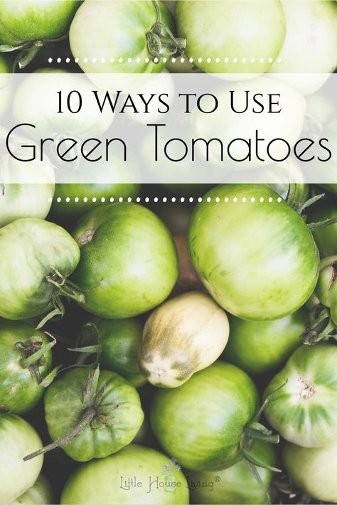 Perhaps you aren't quite to that time yet of the year yet (aka: the hard freeze) but are beginning to think about it. Tomatoes are one of the things we will always pick all of, green or ripe, because there are things you can do with them either way. Take a look below at uses for green tomatoes that you may not have thought of. #greentomatoes Stewed Green Tomatoes, Green Tomato Salad Recipes, What To Do With Green Tomatoes From Garden, Ideas For Green Tomatoes, Frozen Green Tomato Recipes, Things To Do With Green Tomatoes, Dehydrated Green Tomatoes, Recipe For Green Tomatoes, Uses For Green Tomatoes