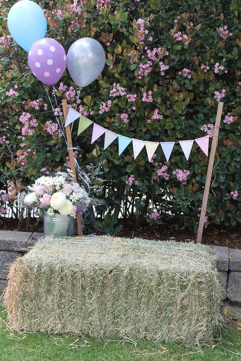 Farm Birthday Photo Booth, First Birthday Petting Zoo Theme, Barnyard Dance Birthday Party, Diy Petting Zoo Ideas, Petting Zoo Party Ideas, Petting Zoo Birthday Party Ideas, Petting Zoo Ideas, Zoo Birthday Party Ideas, Petting Zoo Birthday Party