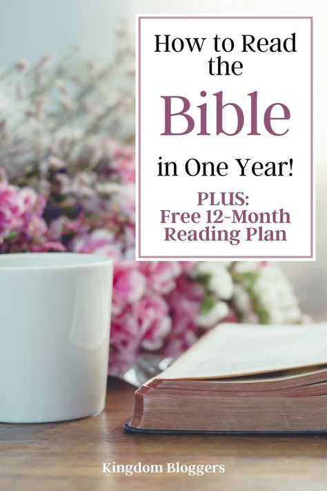 Have you ever found yourself wanting to read the entire Bible in one year? Here are some tips to help you make your way through all 66 books this year! Ways To Read The Bible, Bible In One Year, Year Bible Reading Plan, Old Testament Bible, Woman Inspiration, One Year Bible, Bible In A Year, Bible Resources, Bible Printables