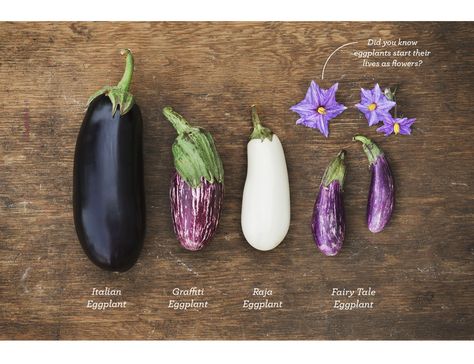 A Fairy Tale (Eggplant) with a Happily Ever After - Blue Apron Blog Fairy Eggplant, Fairy Tale Eggplant, Fairytale Eggplant, Eggplant Varieties, Eggplant Caponata, Spicy Corn, List Of Vegetables, Growing Strong, Fruit Wallpaper