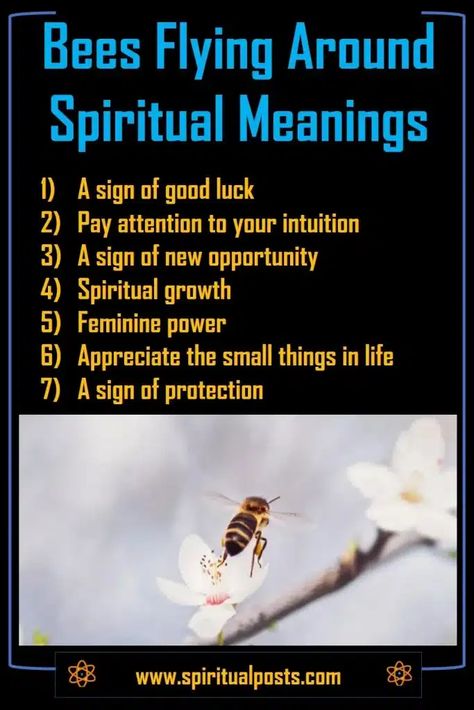 Spiritual Meanings of Bees Flying Around You (Land or Follow!) | Spiritual Posts Bee Spiritual Meaning, Spiritual Meaning Of Bees, Short Prayer For Healing, Bee Flying, Angel Number 111, Spiritual Awakening Signs, Healthy Remedies, Spiritual Animal, Animal Spirit Guides