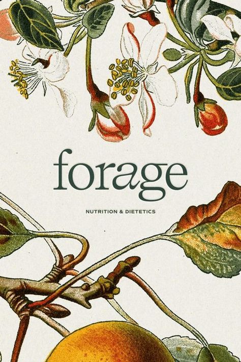 Forage Nutrition Project Showcase by Hello Magic Studio | Branding & Showit Website Design | For nutritionists, dietitians, therapists and photographers, branding business, small business branding, unique branding ideas, US branding service, New York branding service, Canada branding service, showcase project, branding project, branding design, elevated branding design, Showit website design, Forage Nutrition branding project, brand identity, branding strategy, visual branding, branding ideas Flower Brochure Design, Nutritionist Logo, Nutritionist Branding, Graphic Designer Studio, Logo Branding Design, Nutrition Branding, Lets Talk, Designer Studio, Instagram Branding