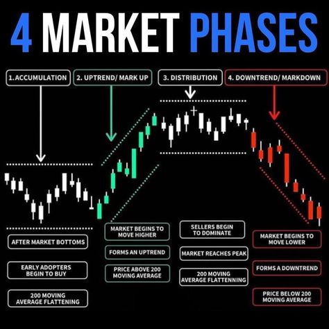 4 market phases every trader should know 🔥 make sure to understand in what phase we are in so you can adapt your entries and exits accordingly 💯 #forextrader #forex Stock Market Basics, Forex Trading Quotes, Stock Chart Patterns, Forex Trading Training, Forex Trading Tips, Stock Trading Strategies, Trading Quotes, Options Trading, Stock Market Investing