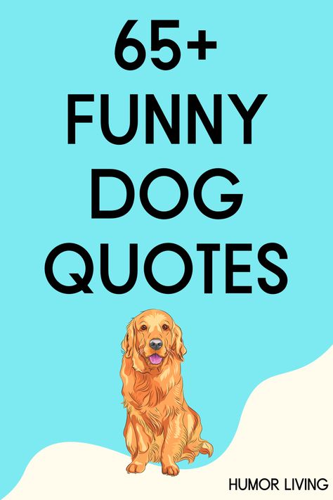 Dogs are wonderful. They’re excellent companions, entertaining, and loving. Read funny dog quotes that are so relatable and hilarious. Dog Funnies Hilarious, Quotes For Dog Lovers, Dogs And Wine Quotes, Funny Dogs Quotes, Funny Dogs With Captions, Dog Training Quotes Funny, Poems For Dogs, Inspirational Dog Quotes, Positive Dog Quotes