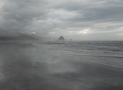 I've just finished up a few days at the Oregon Coast.  I come here every February, as a quiet, restful retreat by myself.  I will often take long rambles, beachcombing,  looking for the beautiful, ... Architecture Sculpture, Interesting Architecture, Flora Fauna, Come Here, By Myself, Oregon Coast, Instagram Feed, Oregon, Sculpture