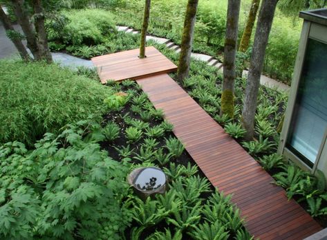 A floating walkway from the front patio to the back would let you replace the grass around it with ferns or short ornamental grasses and take care of the area being a mud pit. Fargesia Rufa, Japanese Maple Garden, Wood Walkway, Tiered Planter, Garden Layout Vegetable, Wooden Walkways, Fine Gardening, Mosaic Garden, Garden Layout