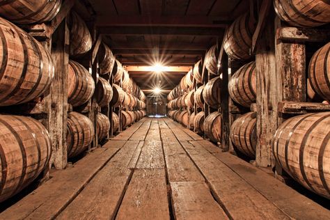 Photo: Buffalo Trace Distillery. Bourbon Tour, Buffalo Trace, Small Town America, Lexington Home, Small Town Life, Kentucky Bourbon, Lexington Kentucky, Bourbon Barrel, Weird And Wonderful